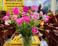 Chính chủ cần tiền bán gấp lô đất hẻm 25 Đường 6 TNP B, 