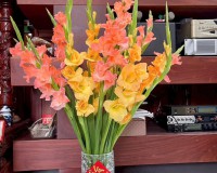 CHỦ BÁN GẤP NHÀ CẤP BỐN HẺM ĐƯỜNG DƯƠNG ĐÌNH HỘI. PLB. TP. HCM