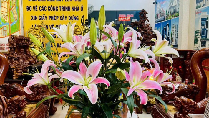  CHỦ GỬI BÁN ĐẤT HẺM XE HƠI – ĐƯỜNG 339, PHƯỚC LONG B, Q9